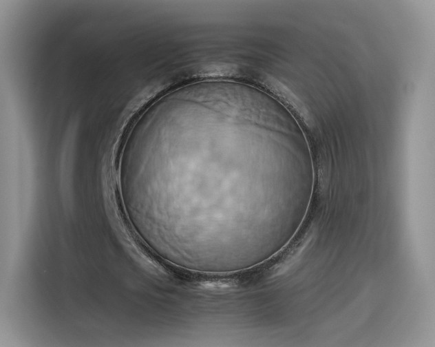 X0000114110721200910131342