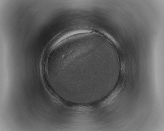 X0000114110722200910131342