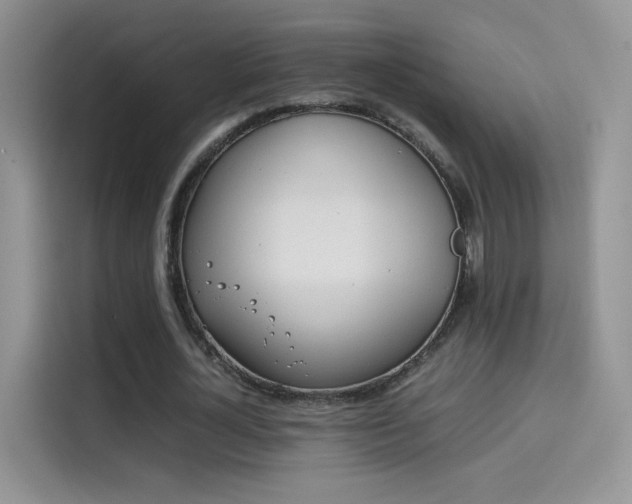 X0000114110724200910131342