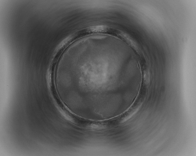 X0000114110725200910131342