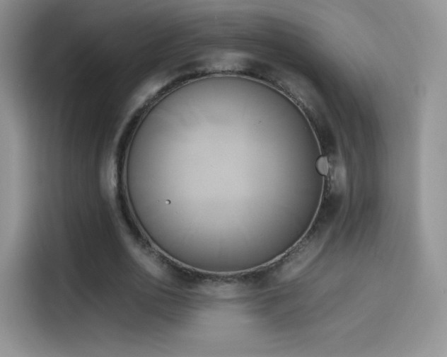 X0000114110726200910131342