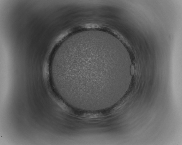X0000114110727200910131342