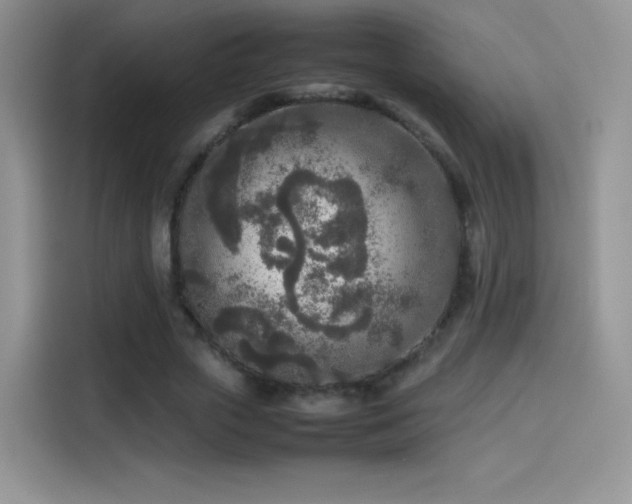 X0000114110729200910131342