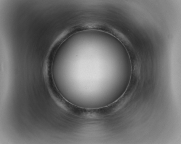 X0000114110730200910131342