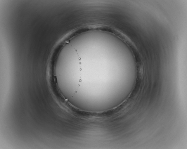 X0000114110732200910131342