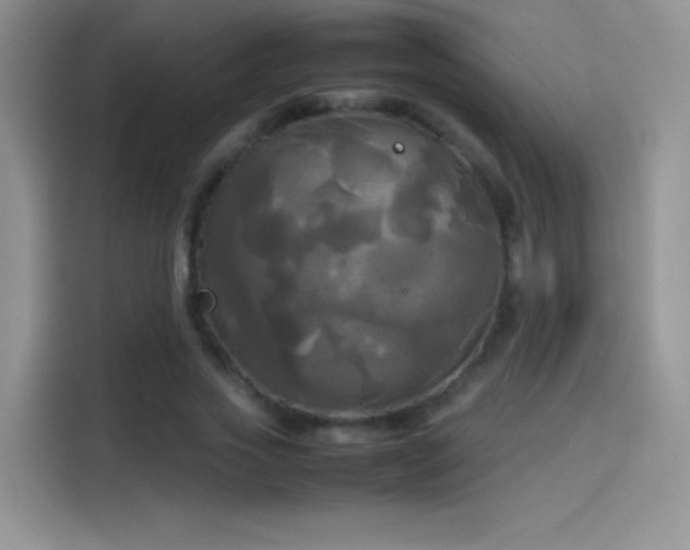 X0000114110733200910131342