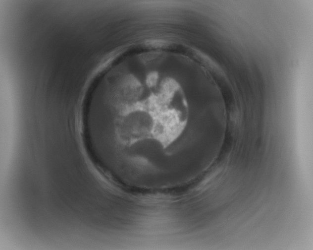 X0000114110734200910131342