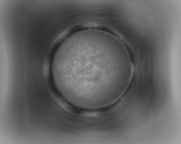 X0000114110735200910131342