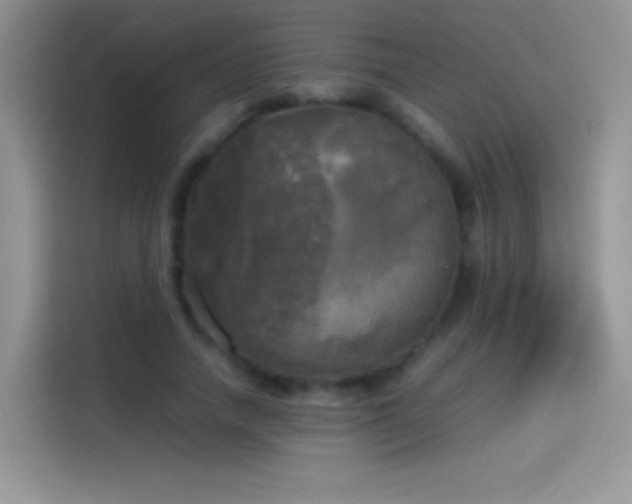 X0000114110738200910131342