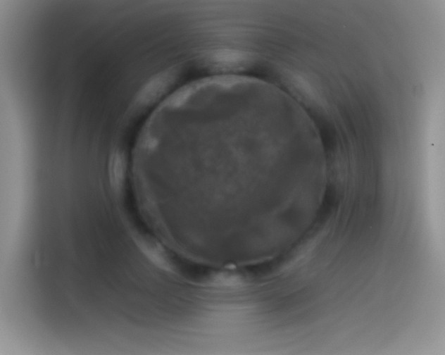 X0000114110742200910131342