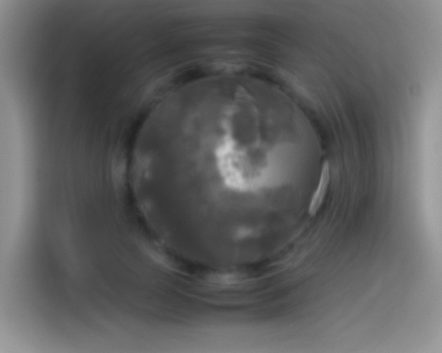 X0000114110745200910131342