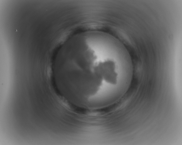 X0000114110746200910131342