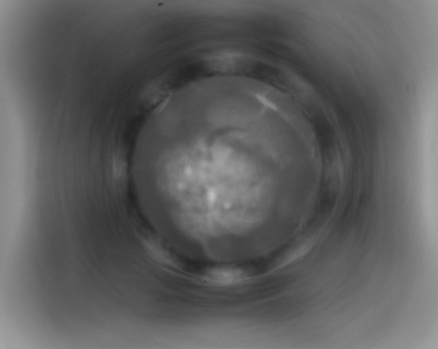 X0000114110749200910131342