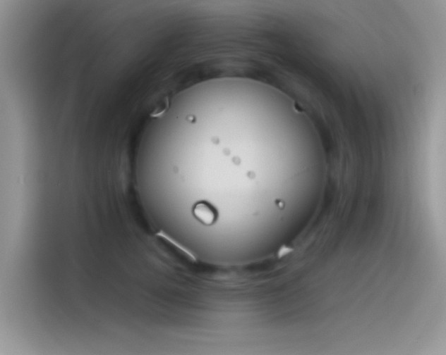 X0000114110752200910131342