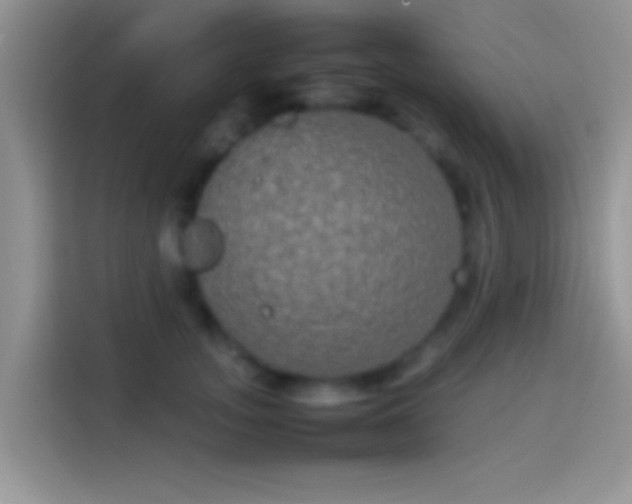 X0000114110755200910131342