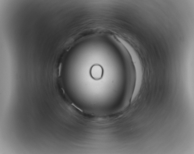 X0000114110756200910131342