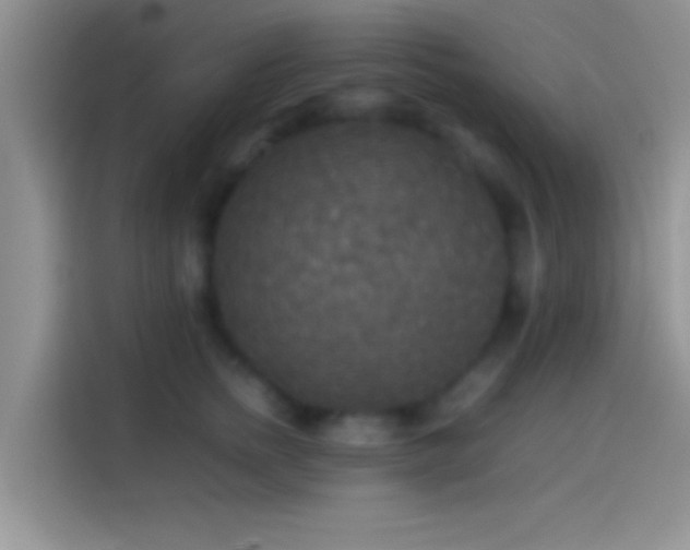 X0000114110758200910131342