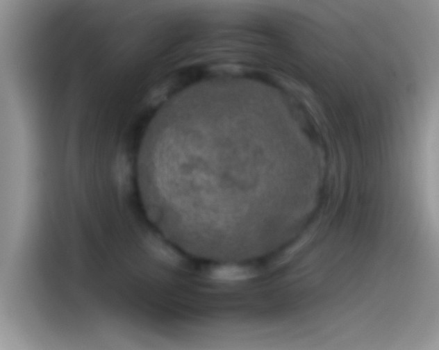 X0000114110759200910131342