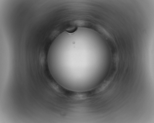 X0000114110760200910131342