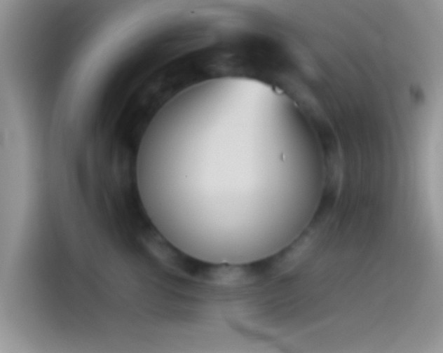 X0000114110762200910131342