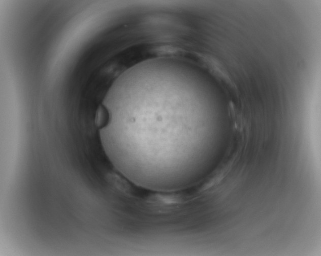 X0000114110763200910131342