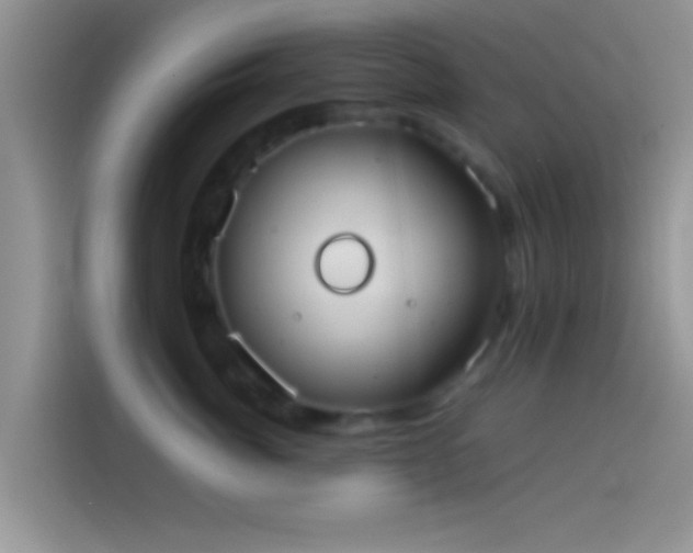 X0000114110764200910131342