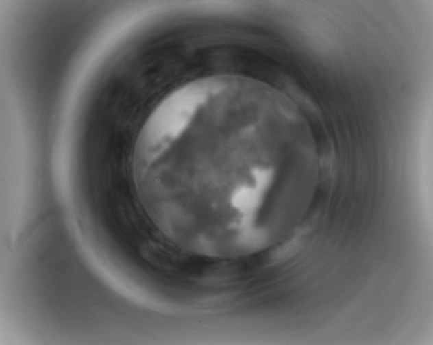 X0000114110765200910131342