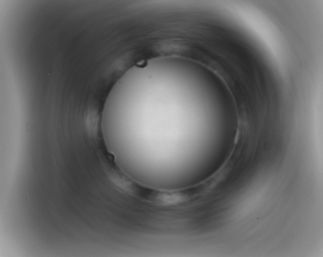 X0000114110767200910131342
