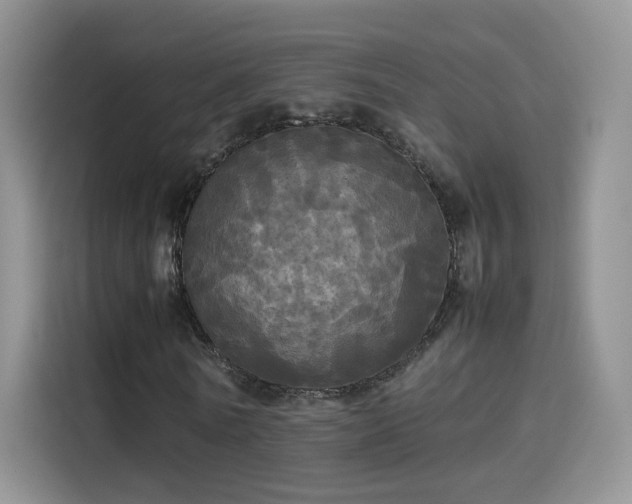 X0000114110770200910131342