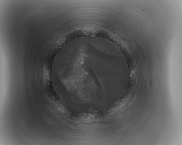 X0000114110772200910131342