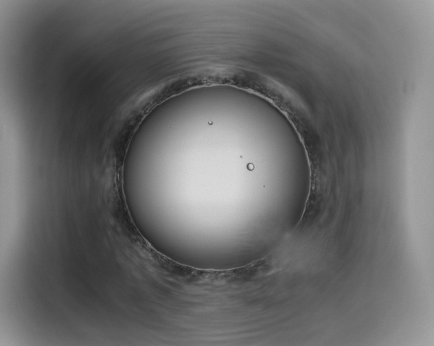 X0000114110773200910131342