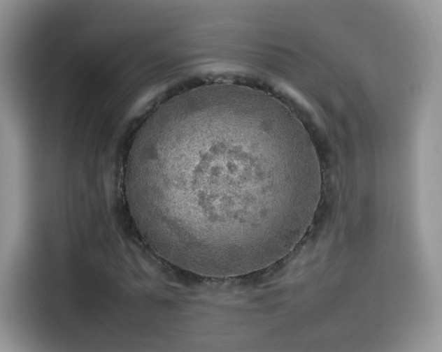X0000114110775200910131342