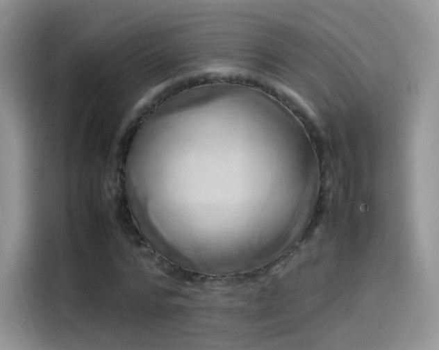 X0000114110776200910131342