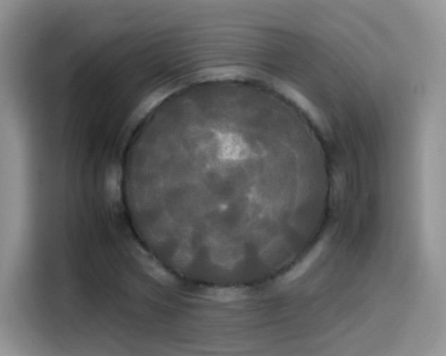 X0000114110778200910131342