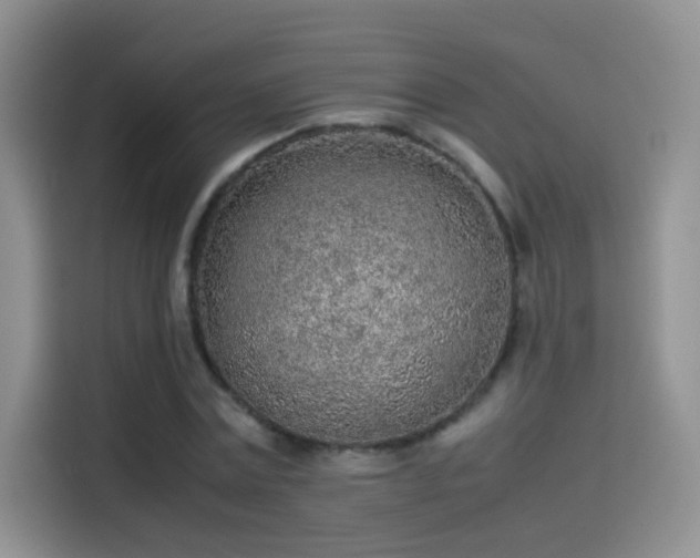 X0000114110779200910131342