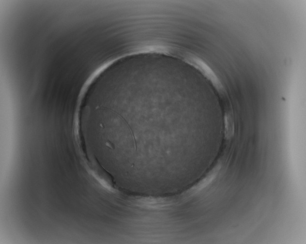 X0000114110780200910131342