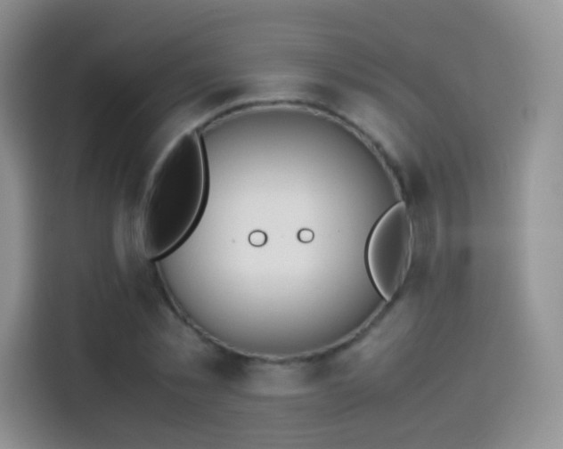 X0000114110781200910131342