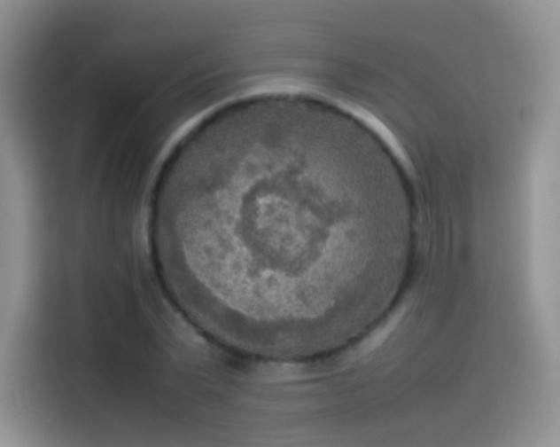 X0000114110783200910131342