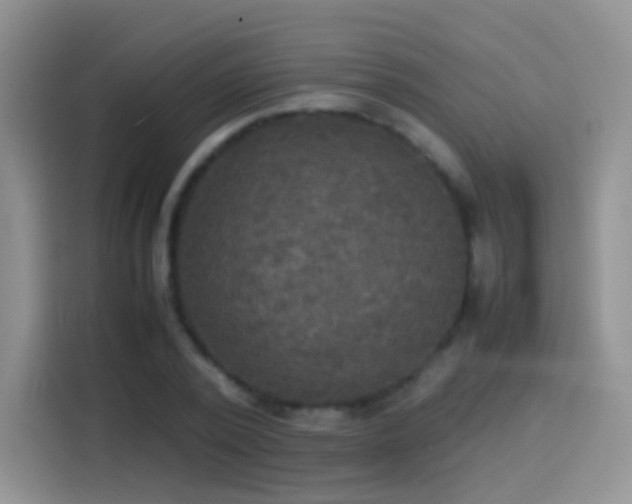 X0000114110784200910131342