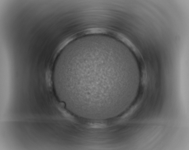 X0000114110786200910131342