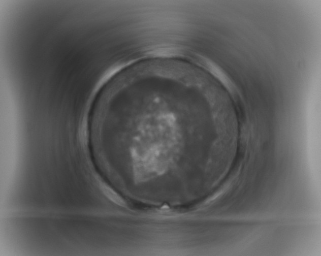 X0000114110787200910131342