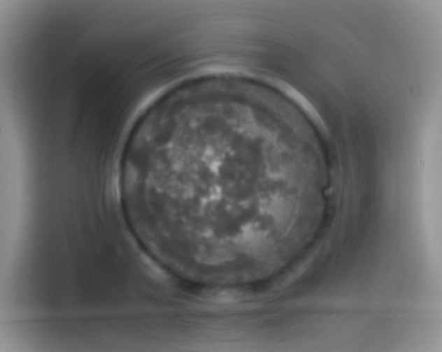 X0000114110791200910131342