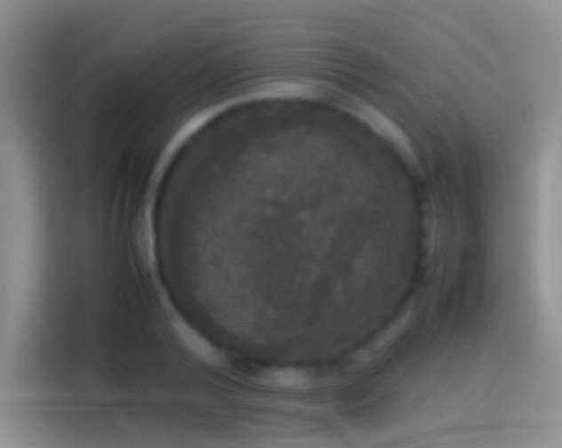 X0000114110792200910131342