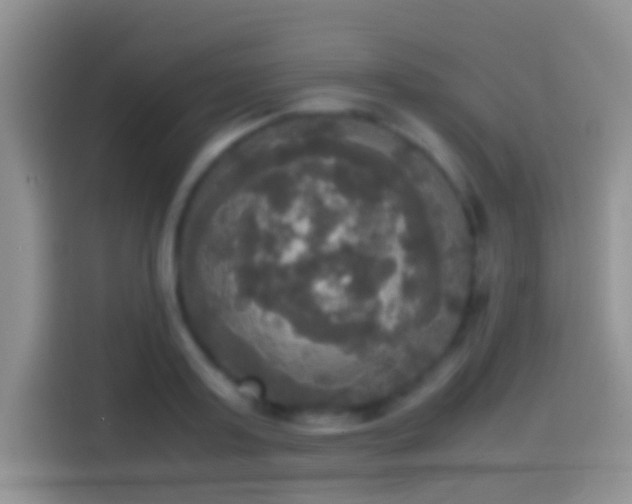 X0000114110795200910131342