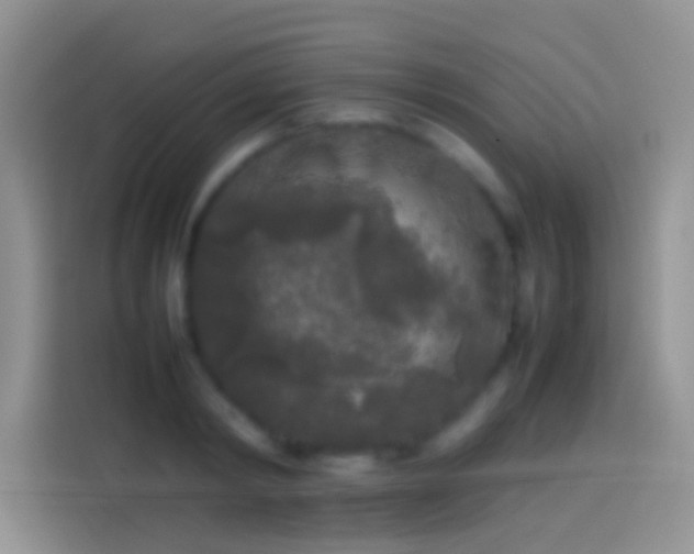 X0000114110798200910131341
