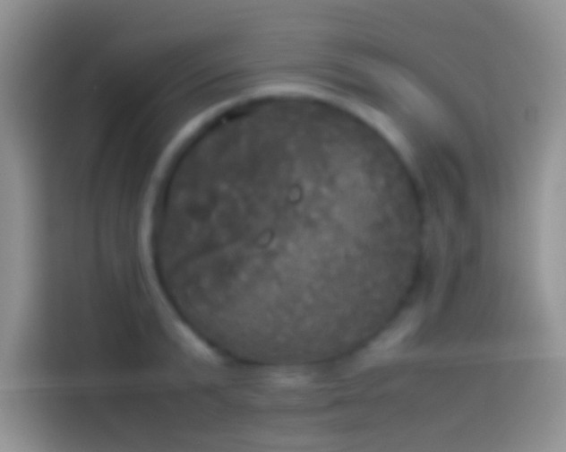 X0000114110799200910131341