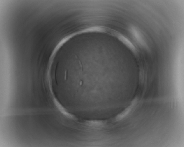 X0000114110800200910131341