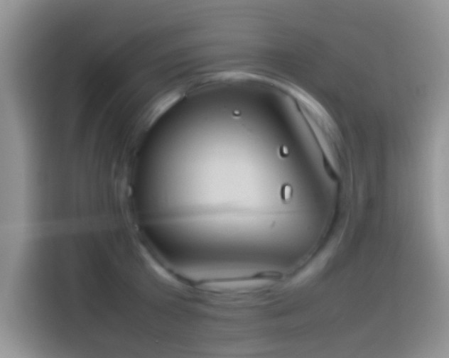 X0000114110801200910131341