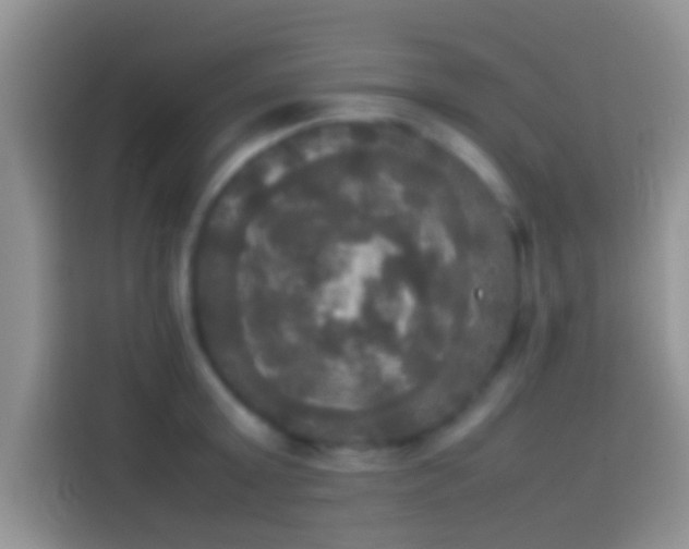 X0000114110803200910131341