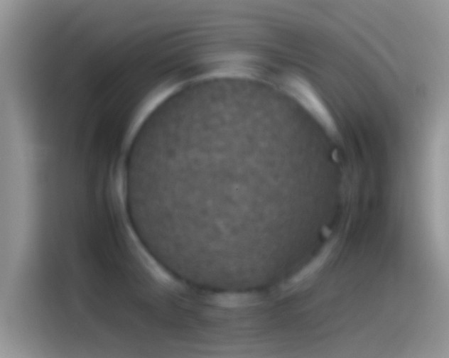 X0000114110804200910131341
